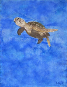 Schildkröte vor blauem Hintergund, gemalt mit Wasserfarben